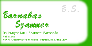 barnabas szammer business card