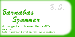 barnabas szammer business card